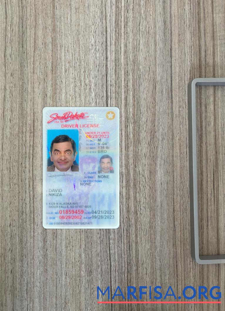 Realistic USA South Dakota under 21 driving license 2023 present photolook example